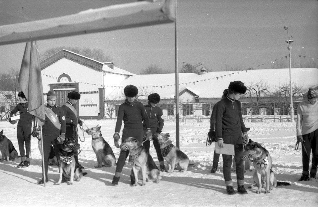 Закрытие соревнований ДОСААФ по собаководству (название соревнований надо уточнить), в том числе кадры 125-127 — это пруд и ресторан «Океан» на ВДНХ (не существует, перестроен), 14 января 1977, г. Москва