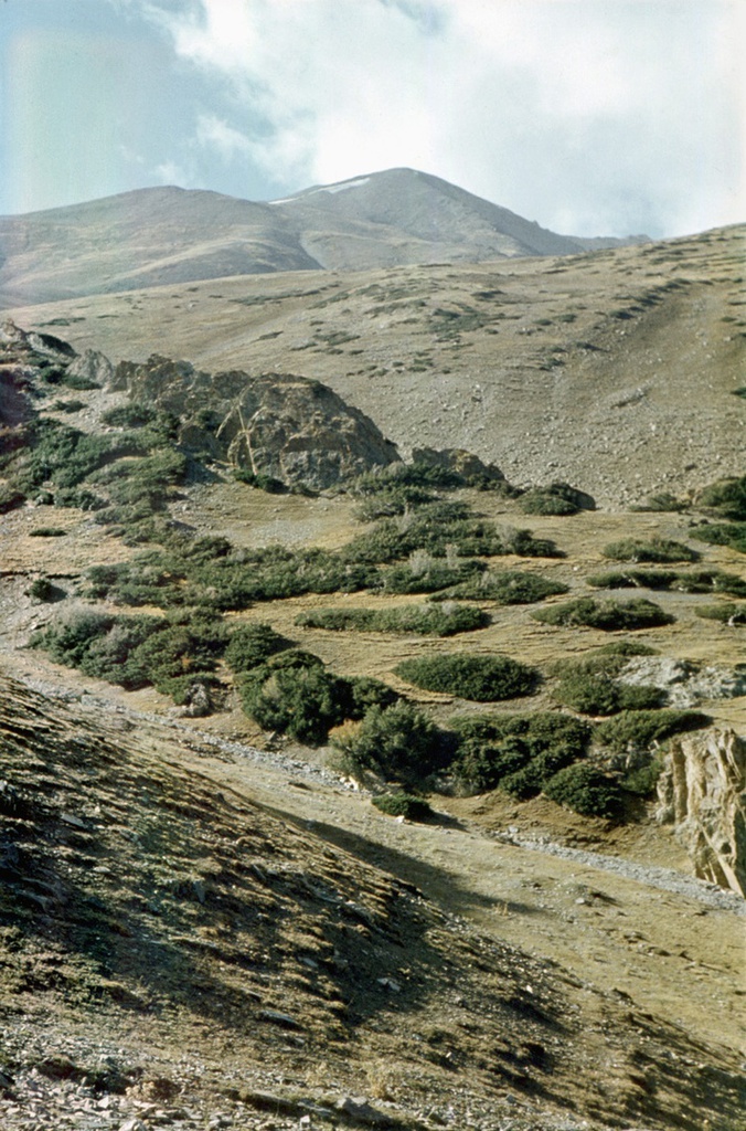 Горные склоны верховья реки Кара-Буура в Таласском Алатау, 1 июня 1978 - 30 августа 1978, Киргизская ССР, Таласская обл.