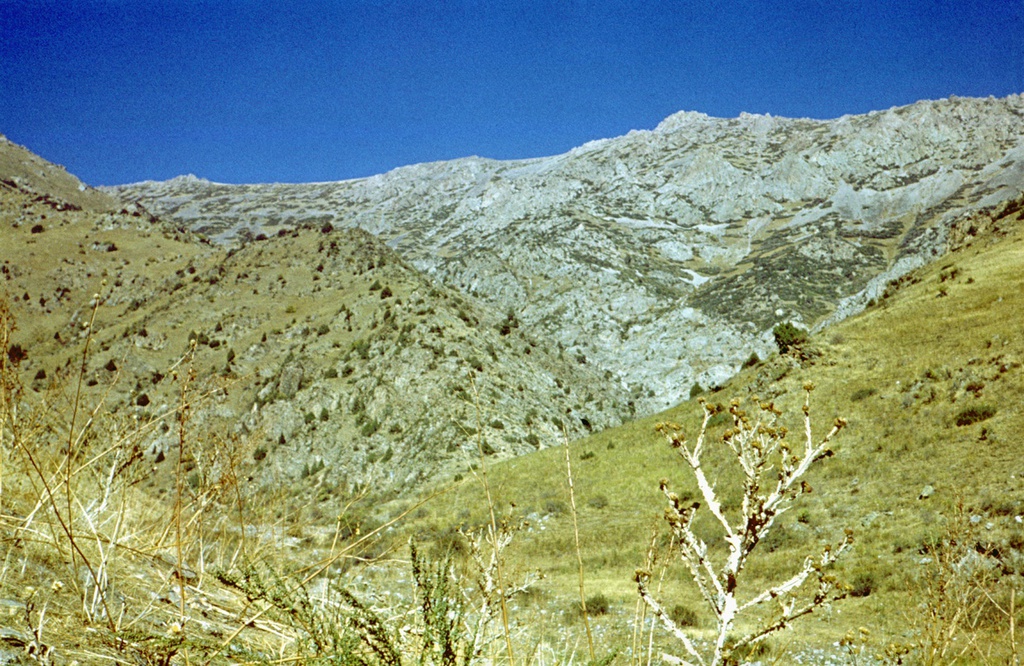 Горные склоны в долине реки Нылды., 1 июня 1978 - 30 августа 1978, Киргизская ССР, Таласская обл.. Долина реки Нылды.