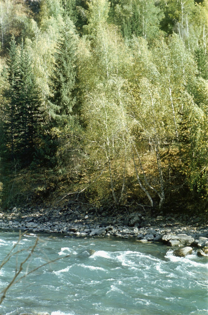 Река Коксу, август - сентябрь 1978, Казахская ССР, Алма-Атинская обл., Коксуский р-н