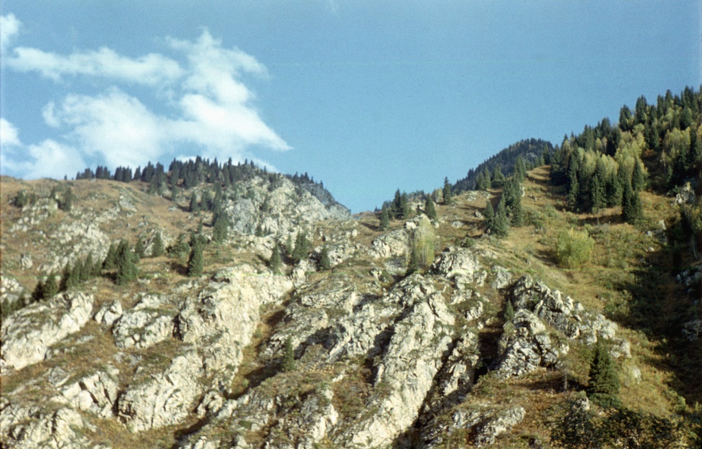 Склоны гор в долине реки Коксу, август - сентябрь 1978, Казахская ССР, Алма-Атинская обл., Коксуский р-н