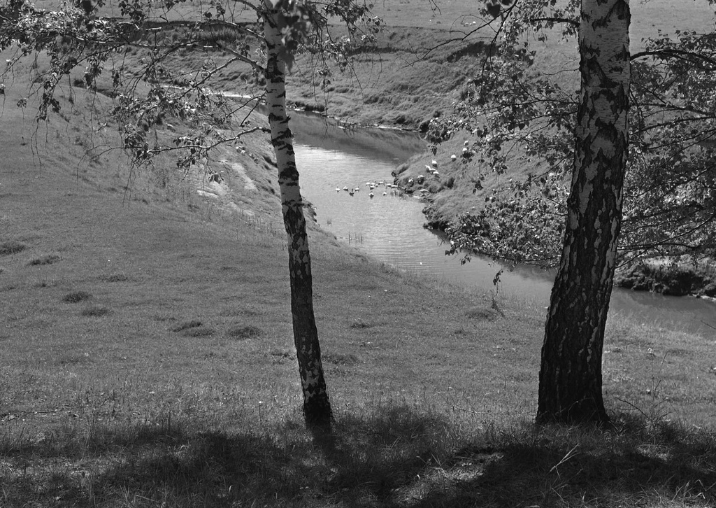Чистые истоки речка Барсук, 1974 год, Тюменская обл., Викуловский р-н, с. Коточиги. 