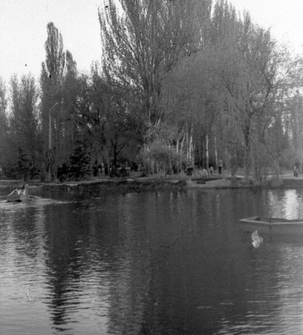 Пруд в Гагаринском парке, 1984 год, г. Симферополь. Фотография из архива Дмитрия Иванова.