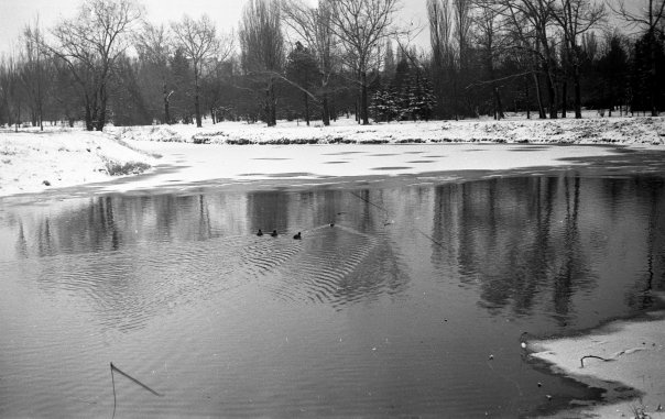 Пруд в Гагаринском парке зимой, 1984 год, г. Симферополь. Фотография из архива Дмитрия Иванова.