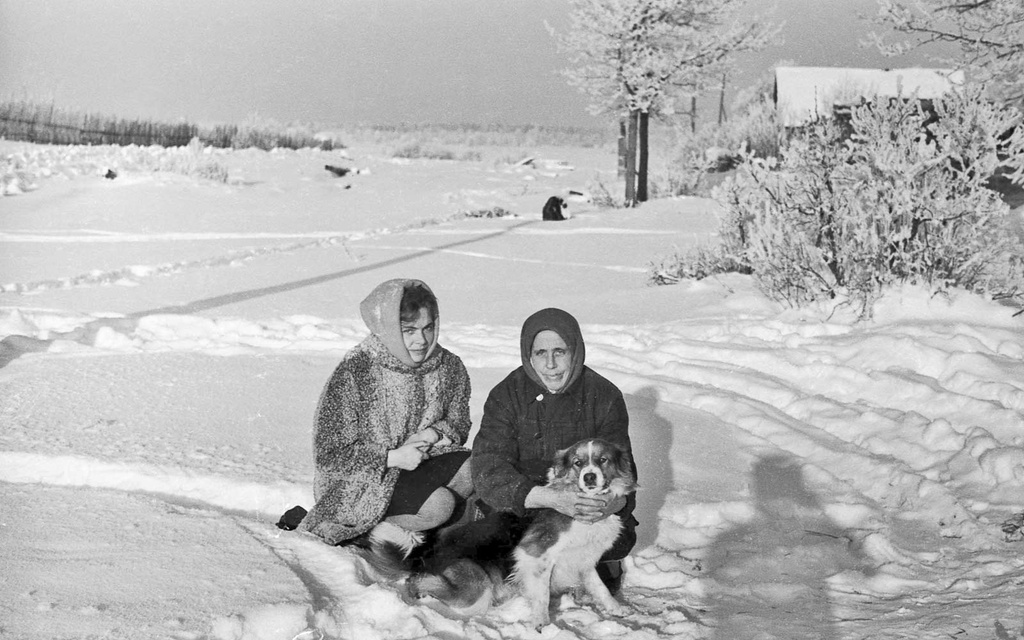 В зимний полдень, декабрь 1970, Калининская обл., Старицкий р-н, д. Турково