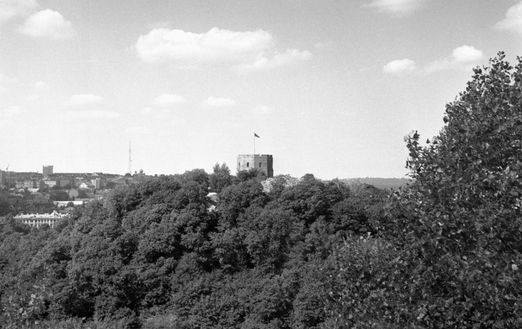Вид Вильнюса с горы Бекеша, июнь - август 1969, Литовская ССР, г. Вильнюс. Нагорный парк.