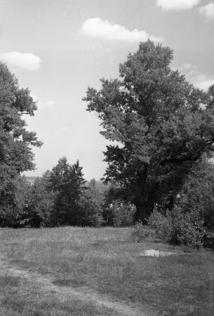 Нагорный парк в Вильнюсе, июнь - август 1969, Литовская ССР, г. Вильнюс. Гора Бекеша.