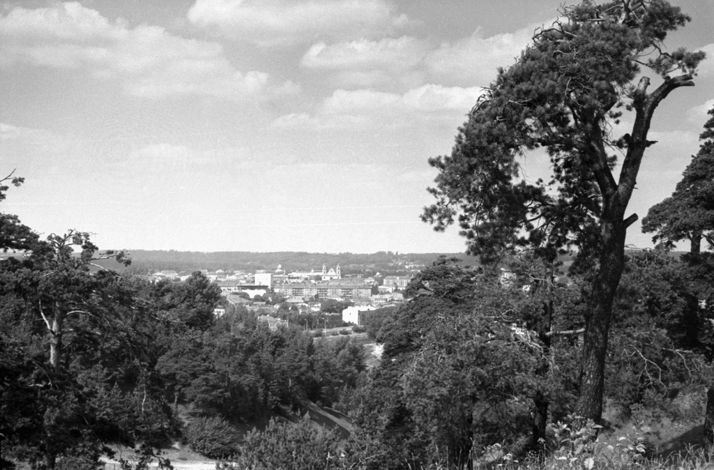 Нагорный парк в Вильнюсе, июнь - август 1969, Литовская ССР, г. Вильнюс. Гора Бекеша.