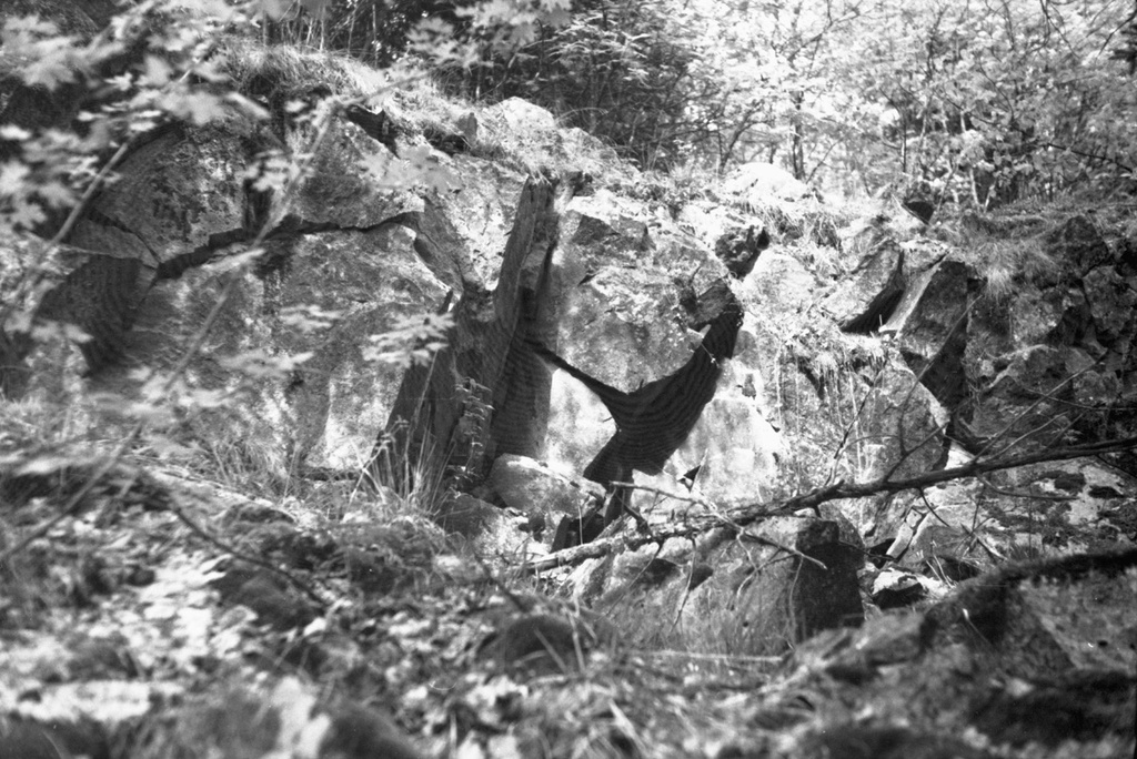 Камни в лесных зарослях, июнь 1978, Карельская АССР,  Сортавальский р-н