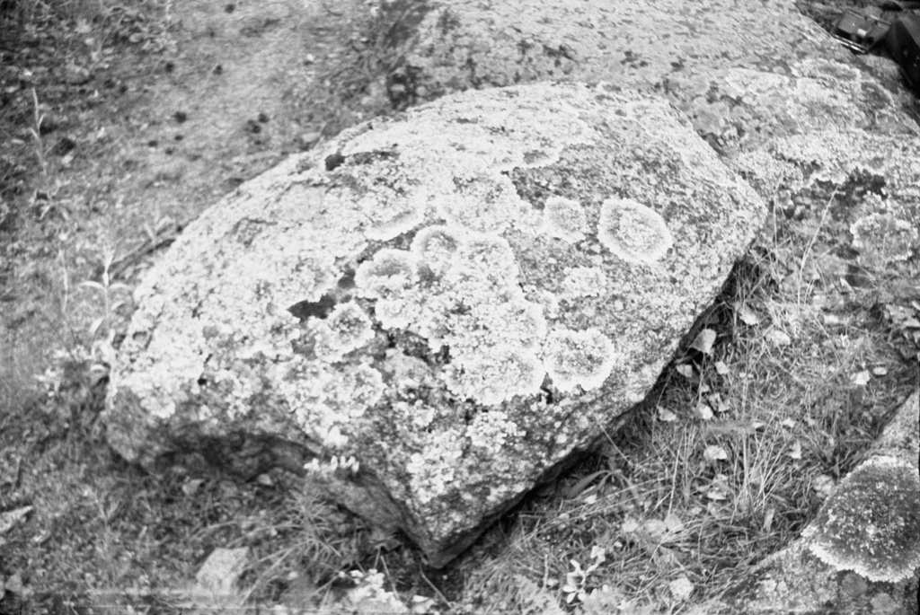 Камни, покрытые лишайниками, 1 июня 1958 - 30 августа 1962, Казахская ССР, Акмолинская обл., Бурабайский р-н