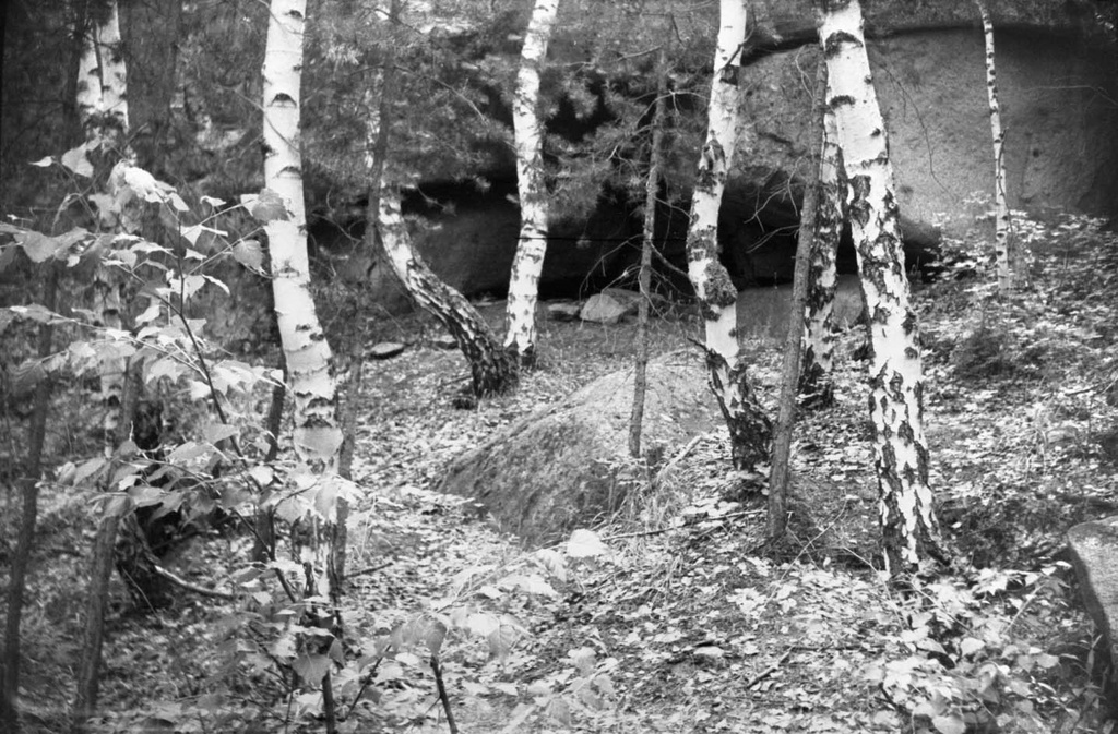 Березы среди камней, 1 июня 1958 - 30 августа 1962, Казахская ССР, Акмолинская обл., Бурабайский р-н