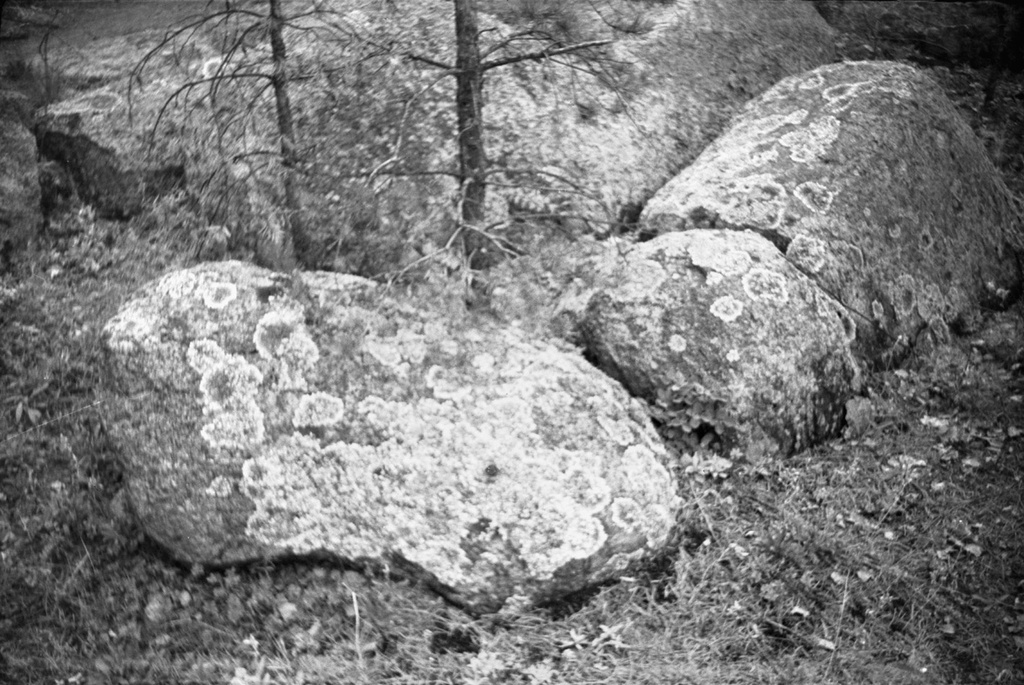 Камни, покрытые мхом, 1 июня 1958 - 30 августа 1962, Казахская ССР, Акмолинская обл., Бурабайский р-н