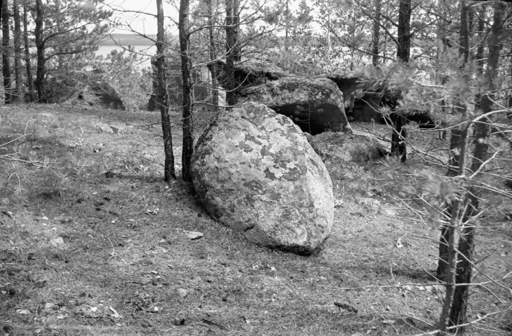 Камни в лесу, 1 июня 1958 - 30 августа 1962, Казахская ССР, Акмолинская обл., Бурабайский р-н