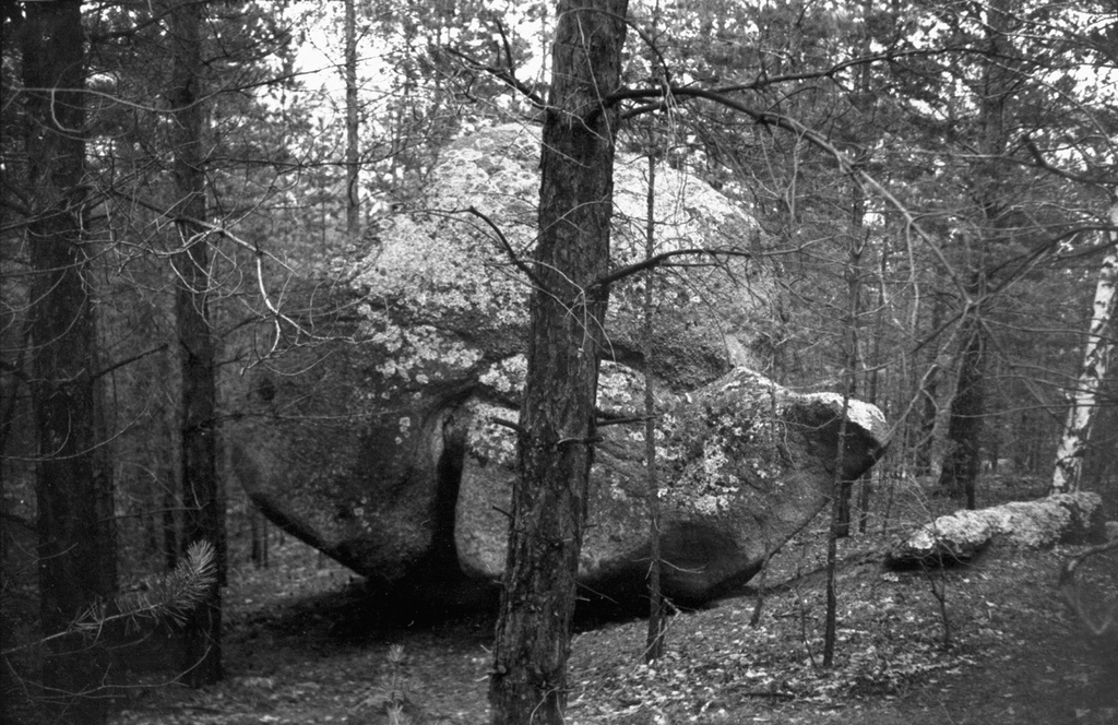 Камни в лесу, 1 июня 1958 - 30 августа 1962, Казахская ССР, Акмолинская обл., Бурабайский р-н. Выставка «Лес» с этой фотографией.