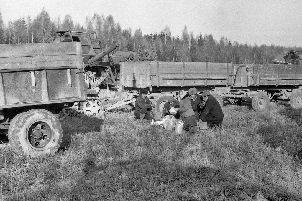 У комбайнеров обед, 30 сентября 1982 - 30 октября 1982, Калининская обл., Старицкий р-н, дер. Турково. Ныне Тверская область.