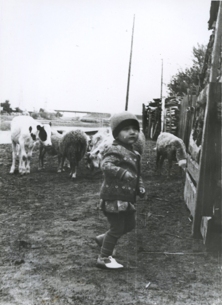 Ребенок на фоне скота, 1980-е, г. Тобольск. Вера Юрьевна  Левченко.