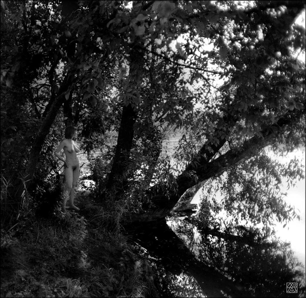 Beltrac Wandhalterung Xxxl main image 0