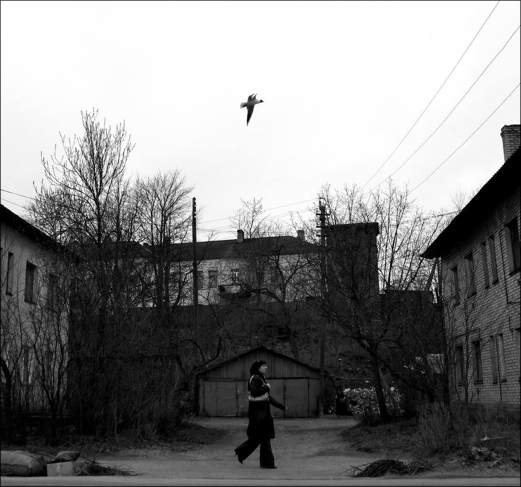 Себеж. Девушка. Чайка, 10 сентября 1994, Псковская обл., г. Себеж. 
