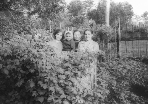Село Павелец, 1 апреля 1965 - 1 августа 1968, Рязанская обл., Скопинский р-н, c. Павелец
