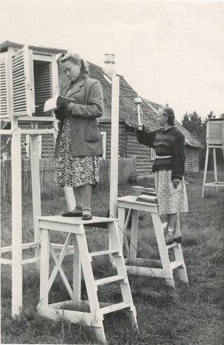 Студенты-метеорологи на практике, июнь - август 1953, Ленинградская обл., Гатчинский р-н, дер. Даймище