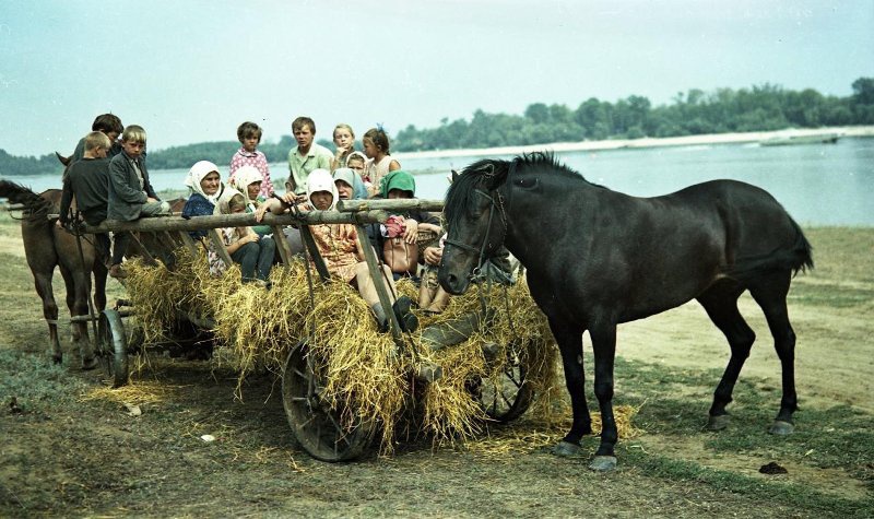 Без названия, 1970-е