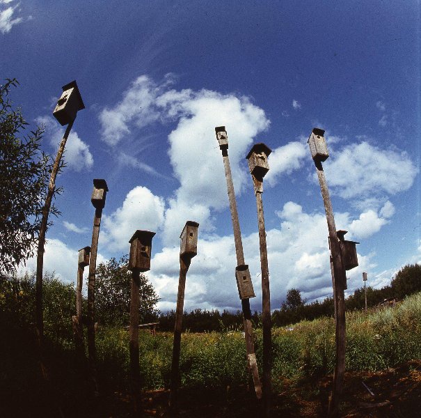 Без названия, 1987 - 1991. Выставка «"Навстречу весне". Скворечники» с этой фотографией.