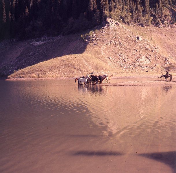 Киноэкспедиция на место съемки фильма Булата Мансурова «Құлагер», 1973 год, Киргизская ССР