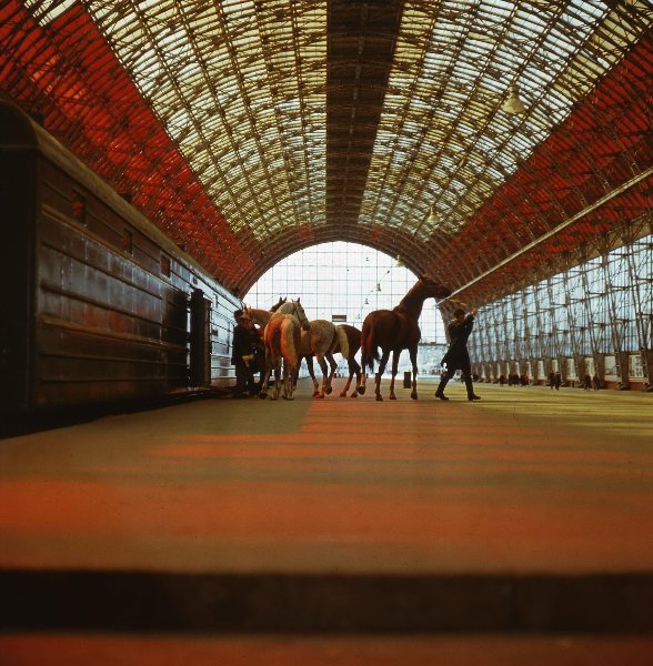 На съемках фильма «34-й скорый», 1981 год, г. Москва. Выставка «Киевский вокзал» с этой фотографией.