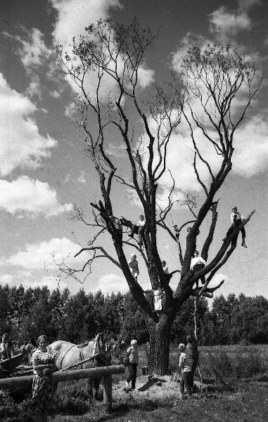 Фото "Древо жизни", 1972 год - История России в фотографиях