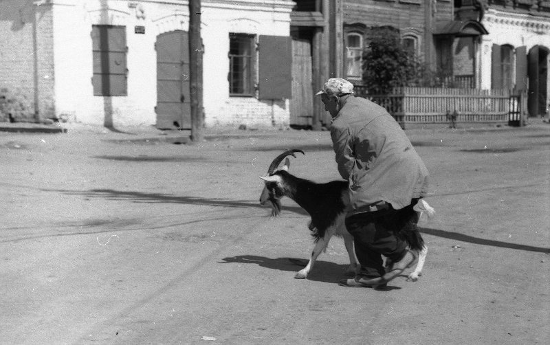 Двенадцать стульев 1970 magnet torrent