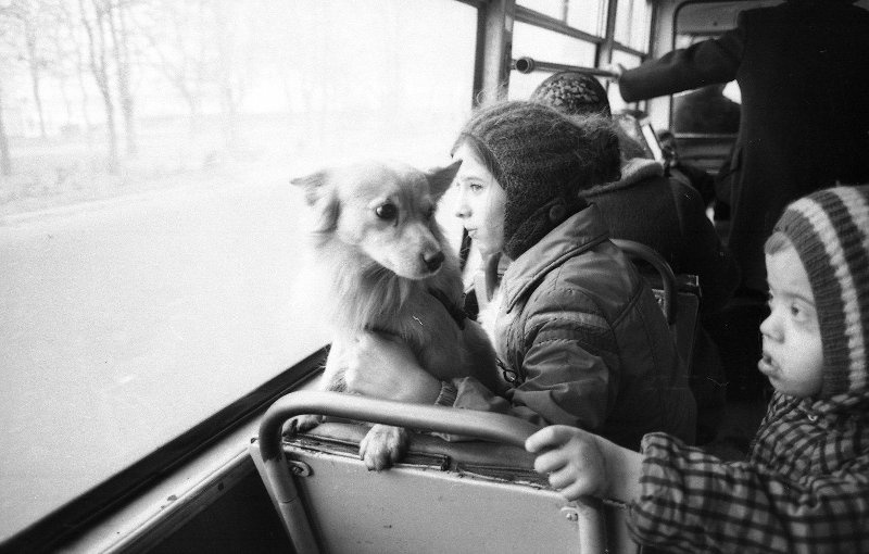 Дети с собакой, 1980-е, г. Москва. Выставка «Московский автобус» с этой фотографией.
