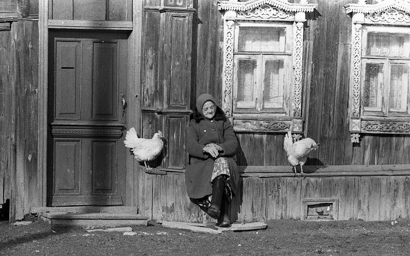 «Пригревает», 1979 год, Горьковская обл.. Выставка «СССР в 1979 году» с этой фотографией.