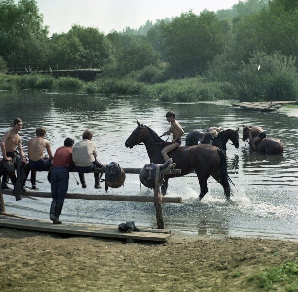 Фото "Купание коней", август 1972, Московская обл. - История России в ...