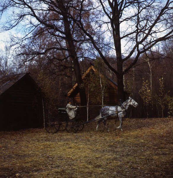 Сибирский цирюльник фото