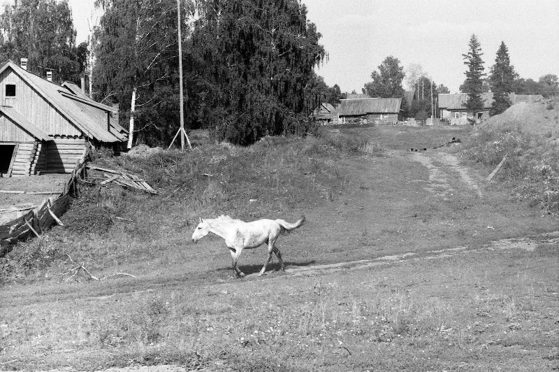 Фото "Свобода", 1987 год - История России в фотографиях