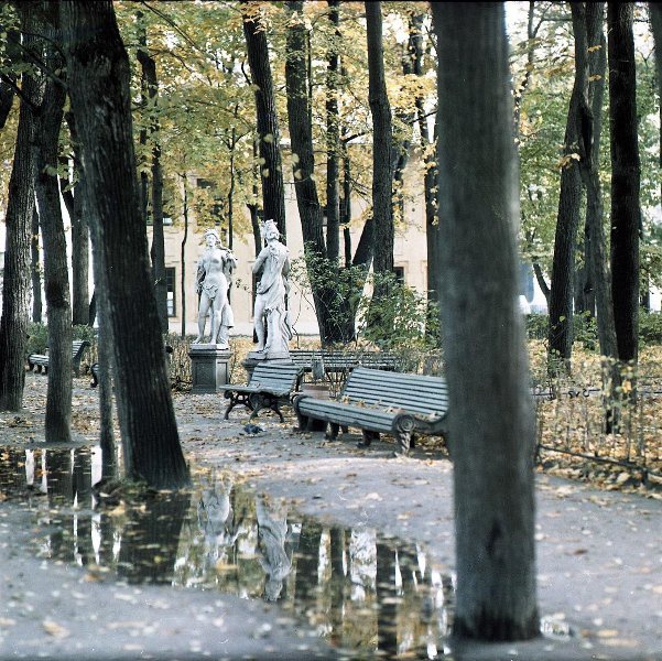 Летний сад, 1960-е, г. Ленинград. Выставка «Листья желтые над городом кружатся...» с этой фотографией.