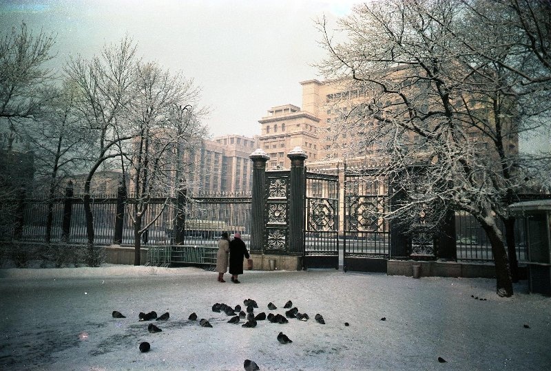 Гостиница «Москва» из Александровского сада, 1957 - 1959, г. Москва. Выставка «Зима в Москве» с этим снимком.