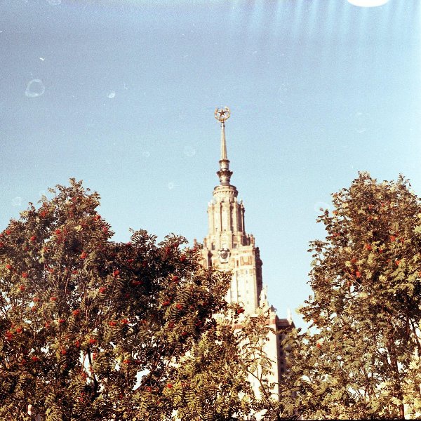 Вид на шпиль главного здания МГУ имени М. В. Ломоносова, 1960-е, г. Москва. Ныне Воробьевы горы.Видео «Спиной к ректорату» с этой фотографией.