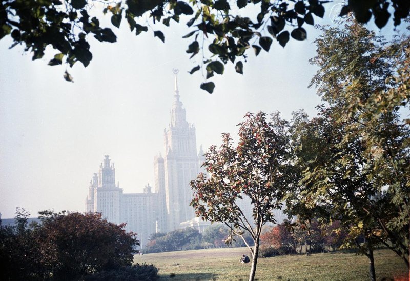 Вид на главное здание МГУ имени М. В. Ломоносова, 1960-е, г. Москва