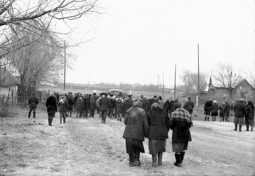 Фото в сытомино 1974