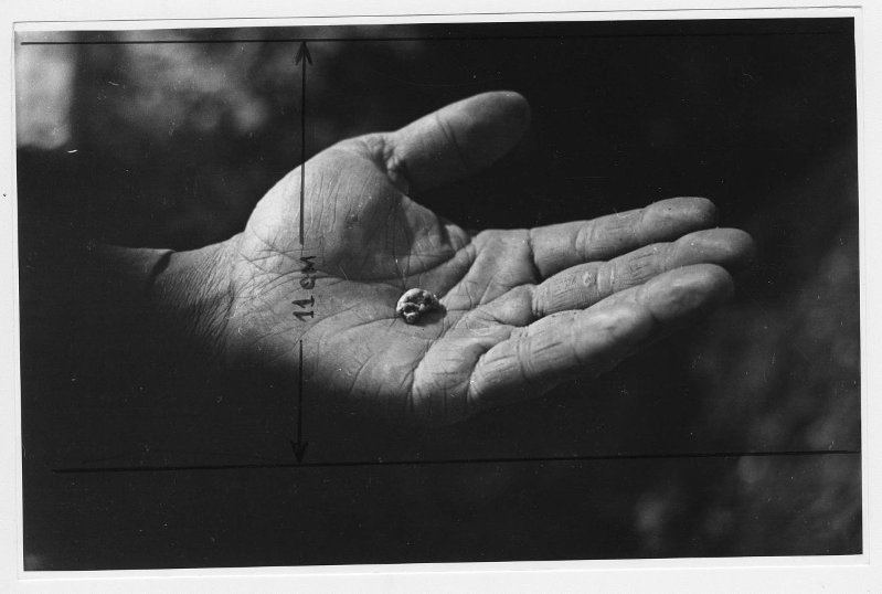 Фото "Золото", 1966 год, Магаданская обл. - История России в фотографиях