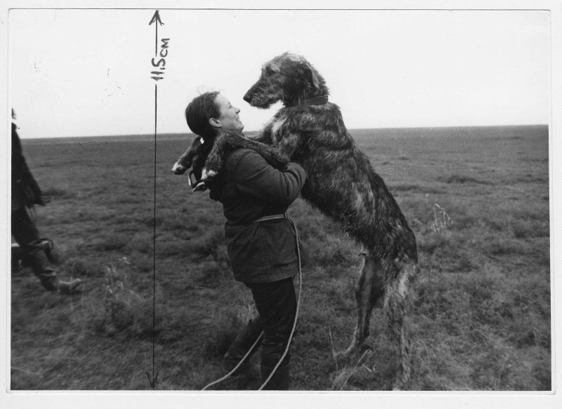 Фото "Кордон «Ацан-Худук»", январь 1986, Калмыцкая АССР - История ...