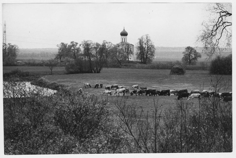 Фото "Церковь Покрова на реке Нерли", октябрь 1981, Владимирская обл ...