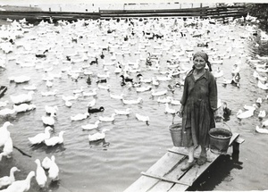 «Отнесу птичкам водички», июнь - июль 1960. Фотография из архива пользователя Для-Поэтов И-Влюбленных.Выставка «СССР в 1960 году» с этой фотографией.