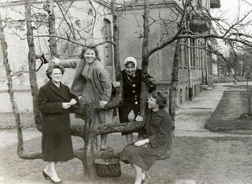 Яблоня на Сталинградском проспекте, 1955 - 1962, Калининградская обл., г. Калининград. Выставка «Калининград» с этой фотографией.