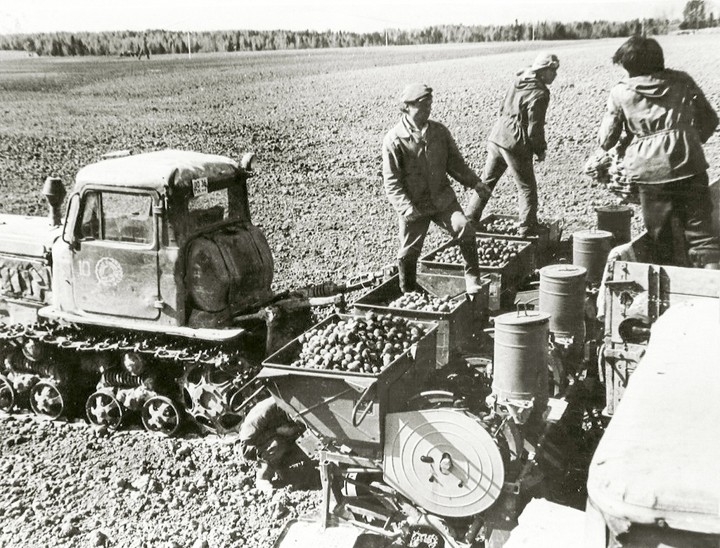 Механизированная посадка картофеля, 1970 год, Пермская обл.
