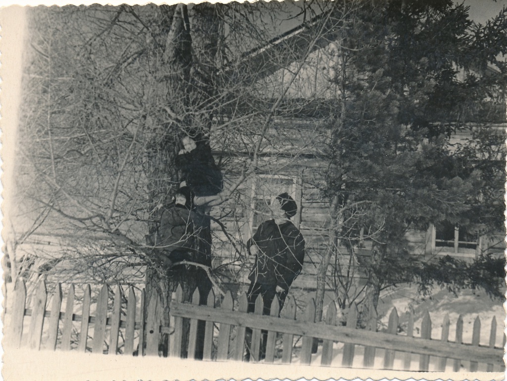 Детки на ветках, 1960 - 1963, г. Тобольск, Савинский затон, дер. Лутовинино. Сверху вниз: Елена Степановна Лутовинина, Александр Степанович Лутовинин.Ныне улица Лутовинина.