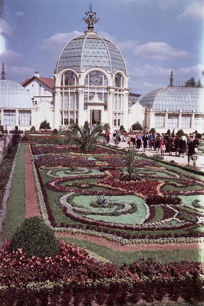 Фото "ВСХВ. Павильон «Цветоводство»", 1954 - 1955, г. Москва - История ...