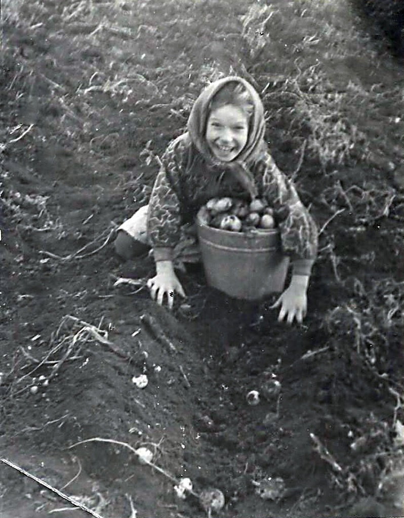 «Небось картошку все мы уважаем, когда б с сольцой ее намять...», 1965 - 1967, Тамбовская обл., Тамбовский р-н, с. Стрельцы. «А картошечка-то тамбовская с чернозема!»
