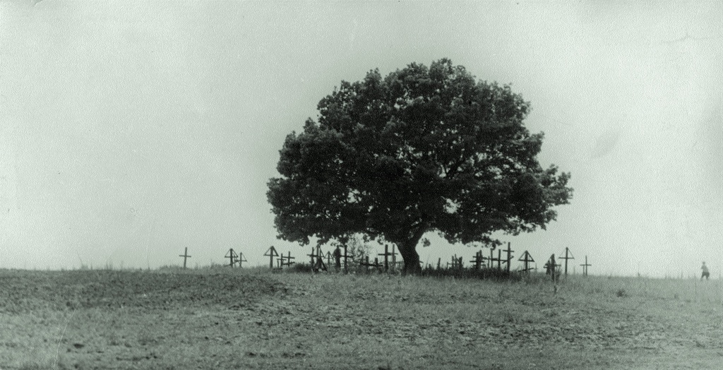 Кладбище в степи, 1960 - 1965, Воронежская обл.. Выставка «Курская и Воронежская» с этой фотографией.